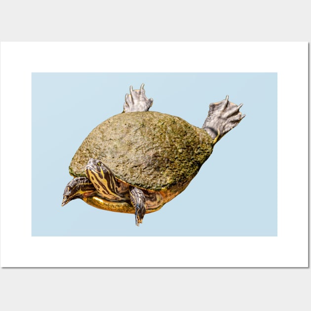 Flying turtle Wall Art by dalyndigaital2@gmail.com